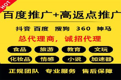 百度竞价赚钱攻略：实战案例分享